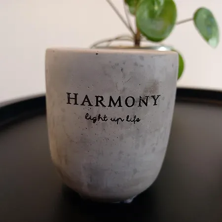 Nuvoleelenzuola * 페루자