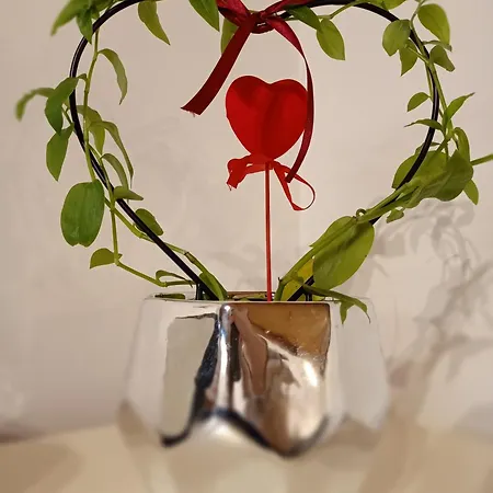 Apartmán Nuvoleelenzuola *